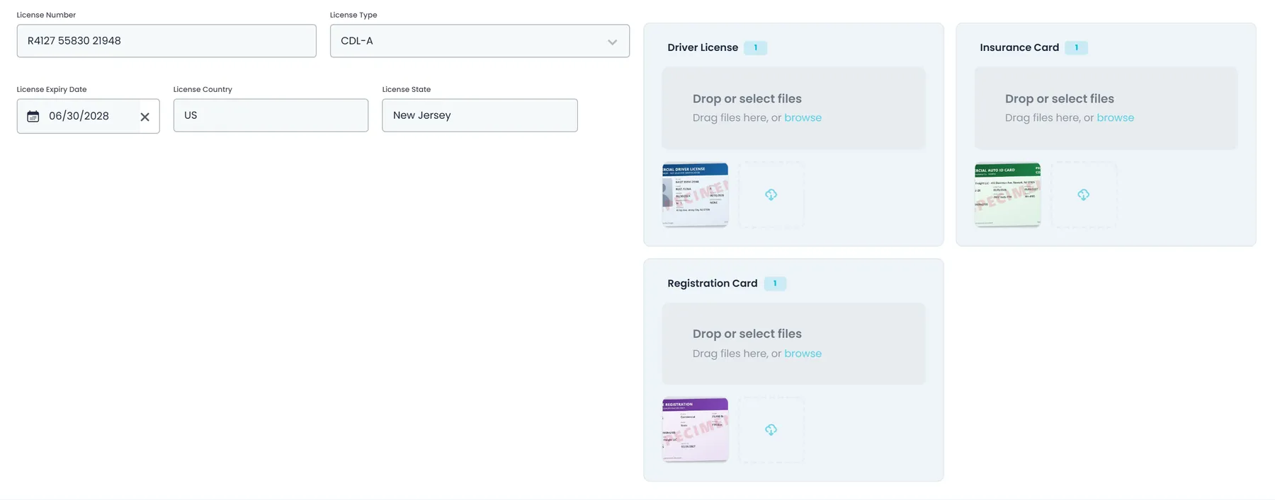 RushHour driver file on the Driver's License tab, with license number, type, expiry, country and state, and document sections for the license, insurance card and registration card